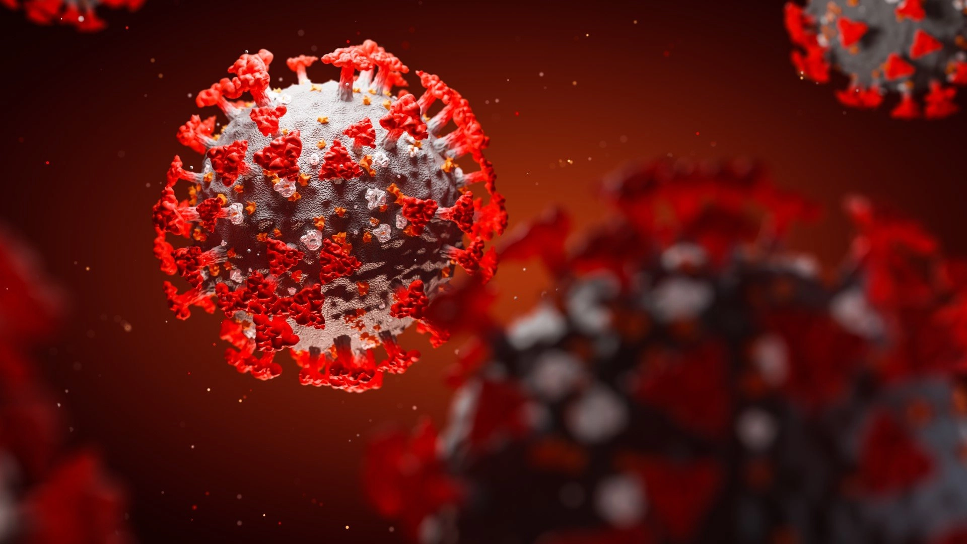 CoronaVirus 2021